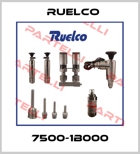 7500-1B000 Ruelco