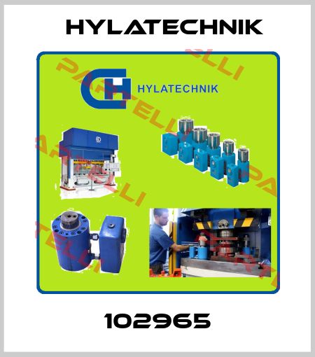 102965 Hylatechnik