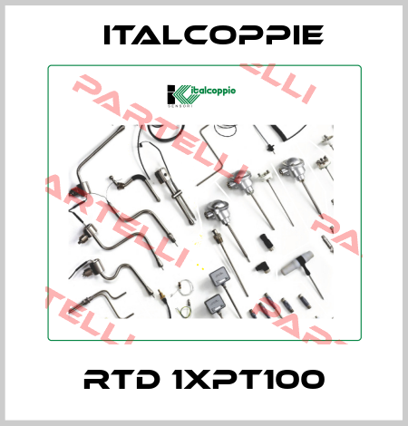 RTD 1XPT100 italcoppie