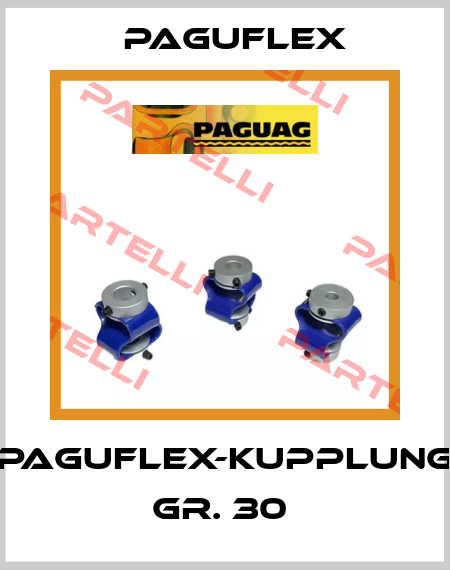 PAGUFLEX-KUPPLUNG GR. 30  Paguflex