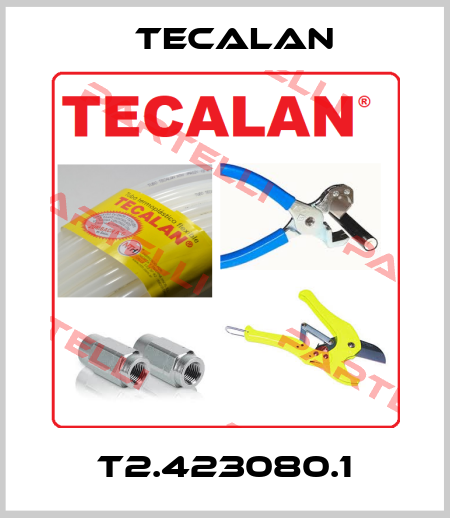 T2.423080.1 Tecalan