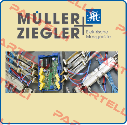 808219 Ziegler