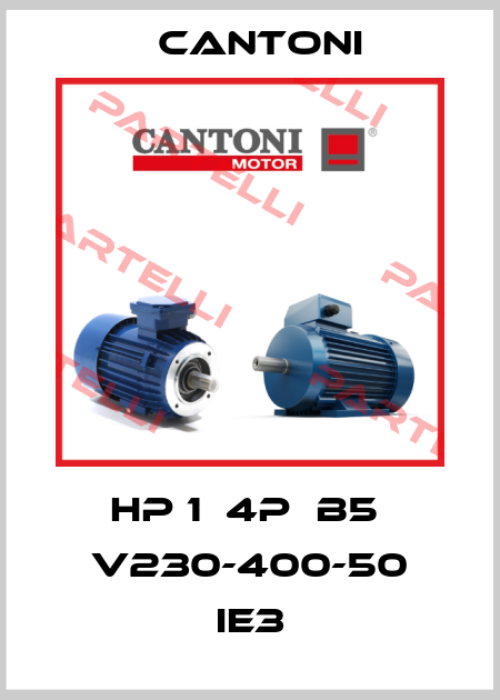 HP 1  4P  B5  V230-400-50 IE3 Cantoni