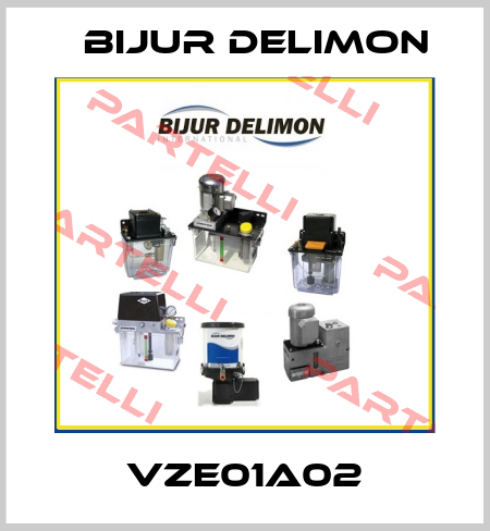 VZE01A02 Bijur Delimon