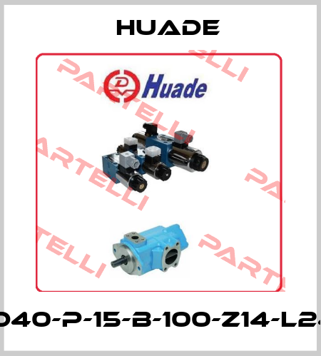HED40-P-15-B-100-Z14-L24-S Huade