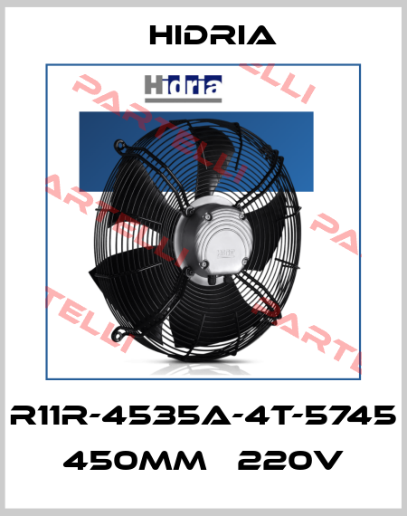 R11R-4535A-4T-5745  450MM   220V Hidria