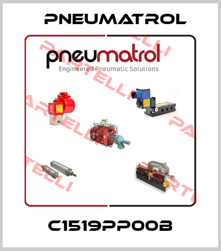C1519PP00B Pneumatrol