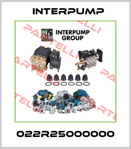 022R25000000 Interpump