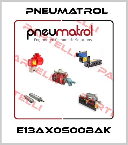 E13AX0S00BAK Pneumatrol