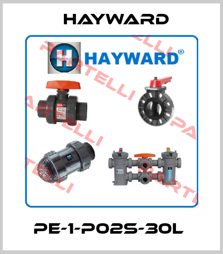 PE-1-P02S-30L  HAYWARD