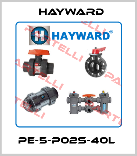 PE-5-P02S-40L  HAYWARD