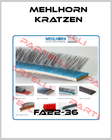 FA22-36 Mehlhorn Kratzen