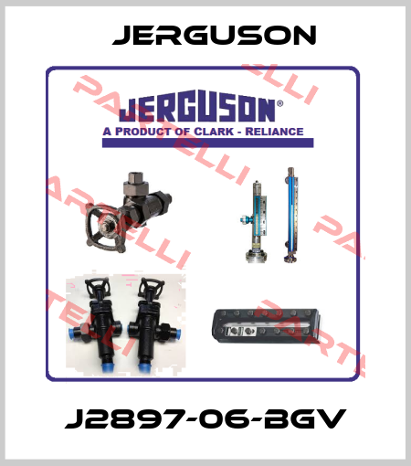 J2897-06-BGV Jerguson