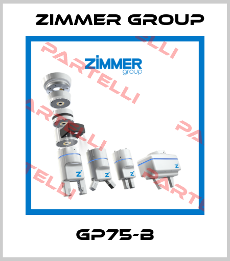 GP75-B Zimmer Group (Sommer Automatic)