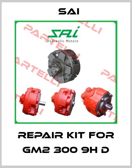 Repair Kit for GM2 300 9H D Sai