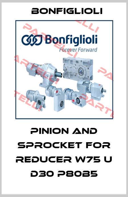 PINION AND SPROCKET FOR REDUCER W75 U D30 P80B5 Bonfiglioli