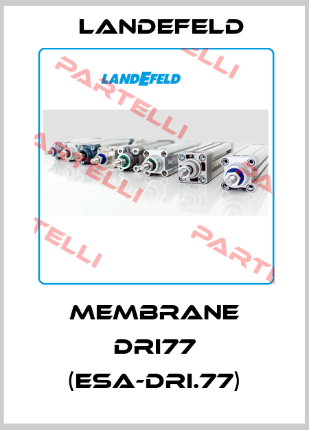 MEMBRANE DRI77 (ESA-DRI.77) Landefeld
