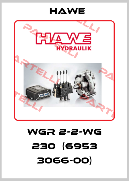 WGR 2-2-WG 230  (6953 3066-00) Hawe