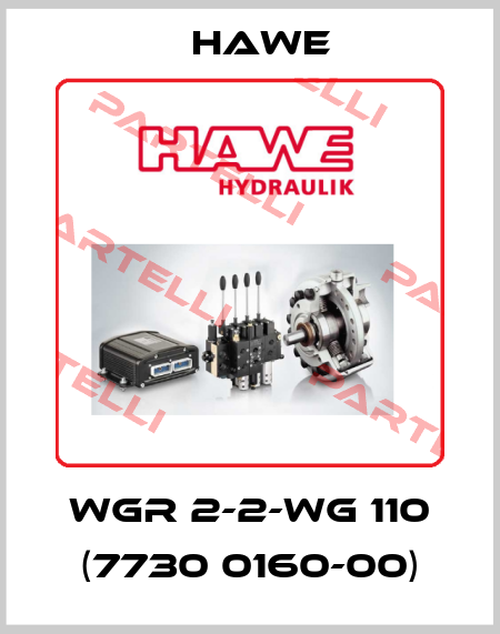WGR 2-2-WG 110 (7730 0160-00) Hawe