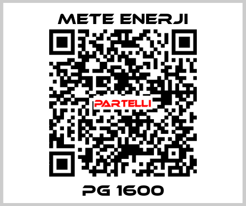 PG 1600 METE ENERJI
