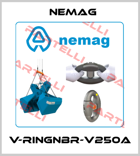V-RINGNBR-V250A NEMAG