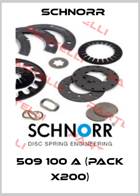 509 100 A (pack x200) Schnorr
