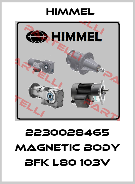 2230028465 MAGNETIC BODY BFK L80 103V HIMMEL