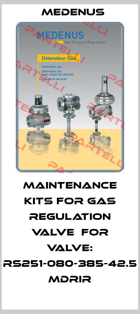 MAINTENANCE KITS FOR GAS REGULATION VALVE  FOR VALVE: RS251-080-385-42.5 MDRIR Medenus