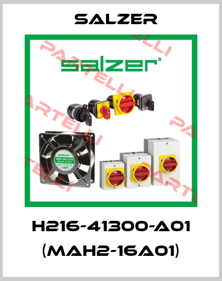 H216-41300-A01 (MAH2-16A01) Salzer