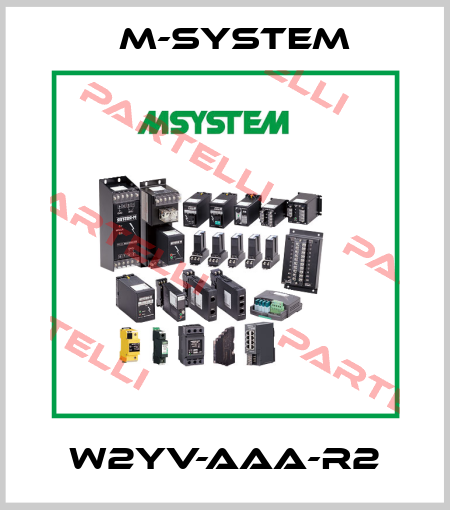 W2YV-AAA-R2 M-SYSTEM
