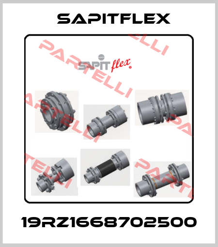 19RZ1668702500 Sapitflex