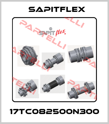 17TC082500N300 Sapitflex