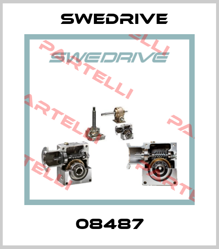 08487 Swedrive