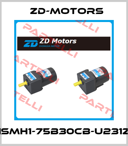 ISMH1-75B30CB-U231Z ZD-Motors