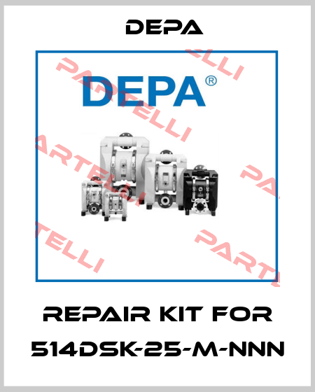 Repair kit for 514DSK-25-M-NNN Depa