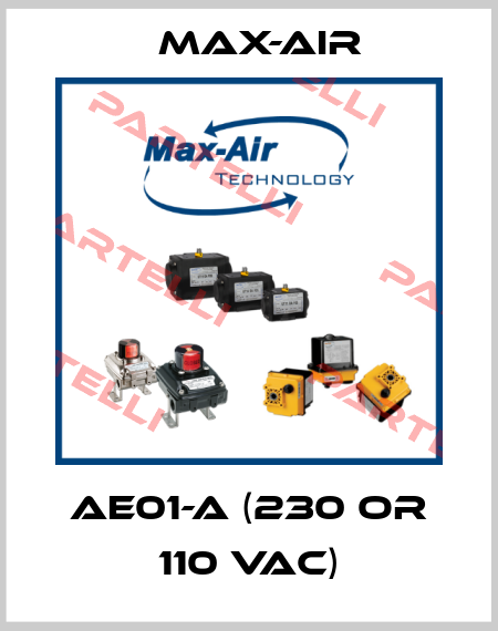 AE01-A (230 or 110 vac) Max-Air