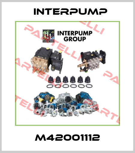 M42001112 Interpump