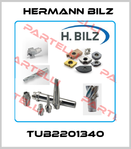 TUB2201340 Hermann Bilz