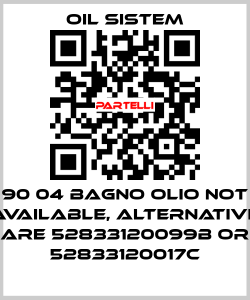90 04 BAGNO OLIO not available, alternative are 52833120099B or 52833120017C Oil Sistem