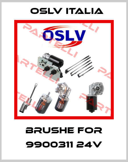 Brushe for 9900311 24V OSLV Italia
