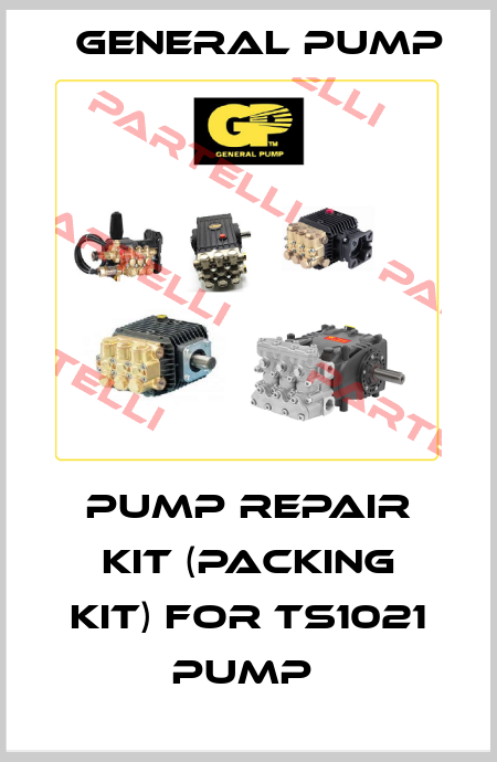 PUMP REPAIR KIT (PACKING KIT) FOR TS1021 PUMP  General Pump
