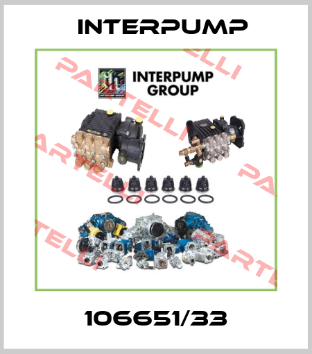 106651/33 Interpump