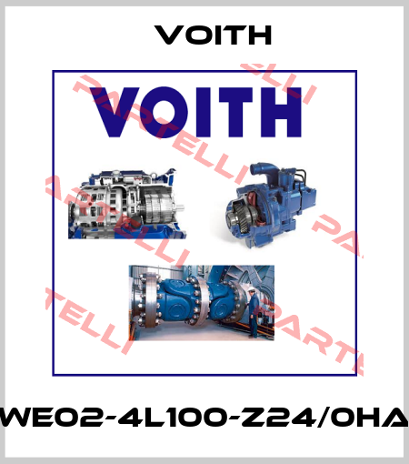 WE02-4L100-Z24/0HA Voith