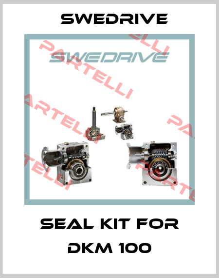 Seal kit for DKM 100 Swedrive