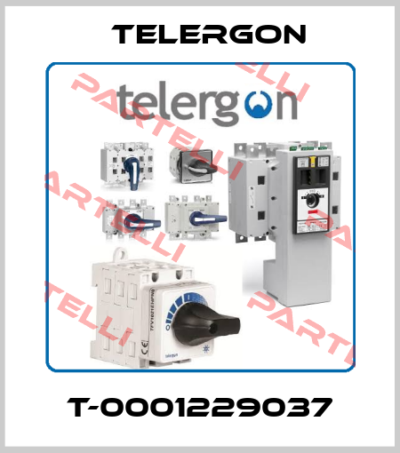 T-0001229037 Telergon