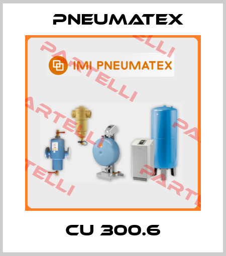 CU 300.6 PNEUMATEX