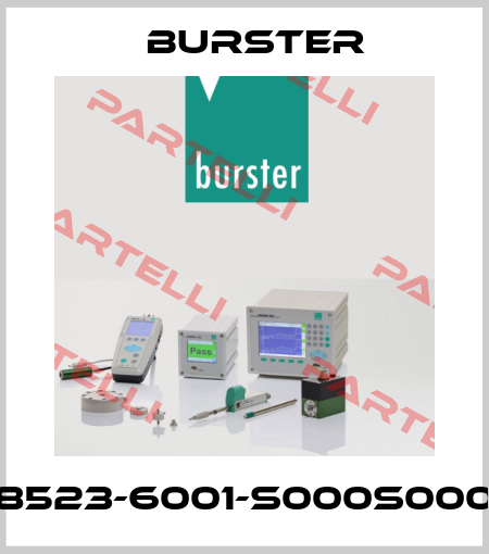 8523-6001-S000S000 Burster
