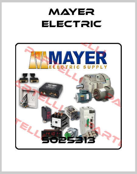5025313 Mayer Electric