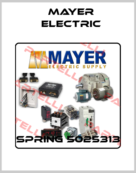 SPRING 5025313 Mayer Electric