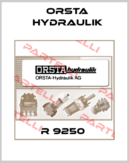 R 9250  Orsta Hydraulik